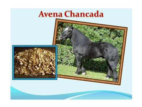 avena-chancada