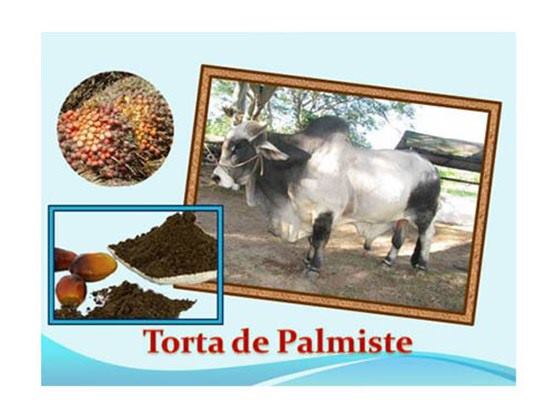 torta-palmiste